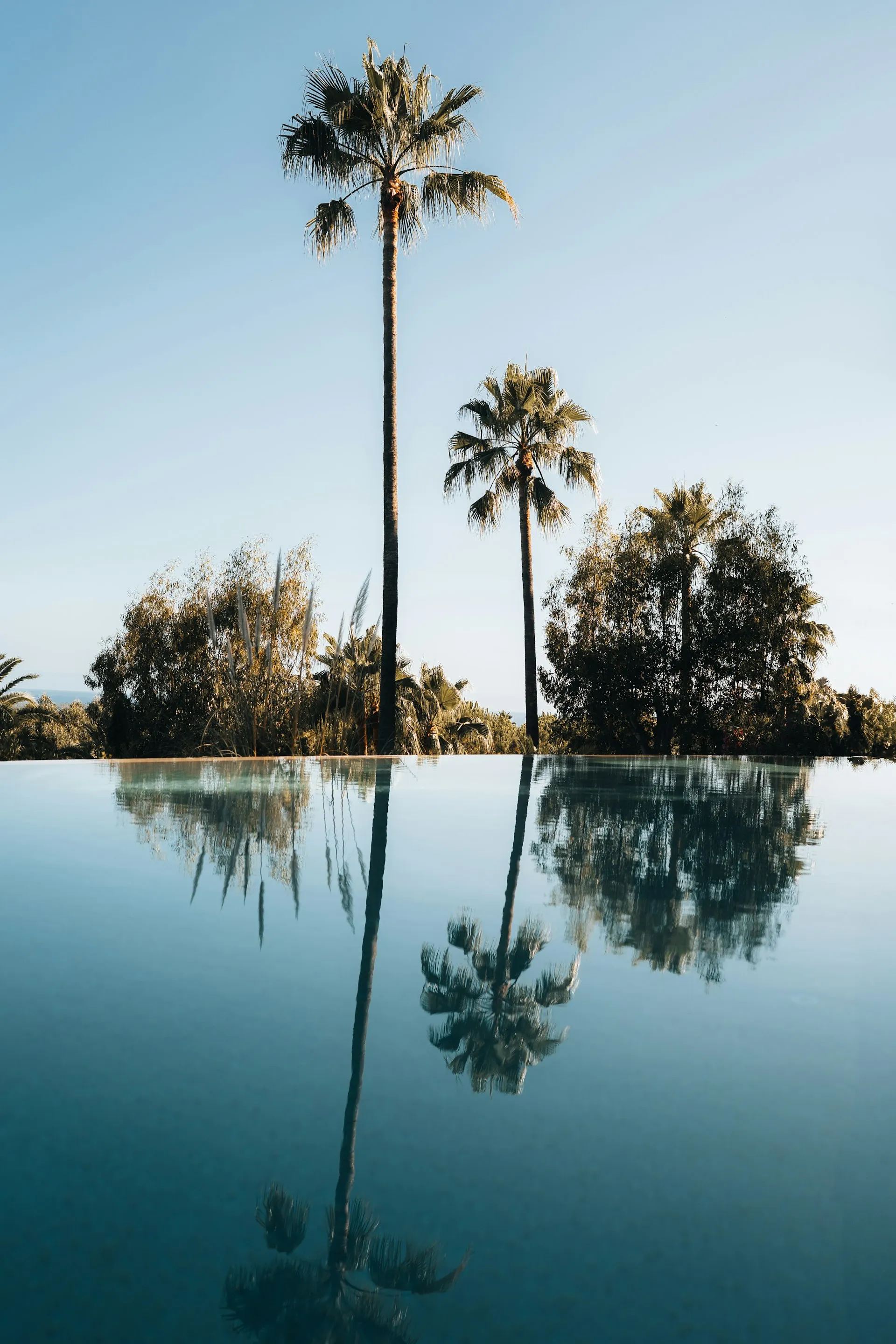 Piscina infinita rodeada de palmeras al atardecer